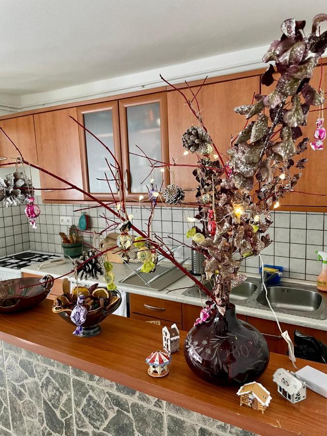 博维茨Apartma Pri Soci公寓 外观 照片